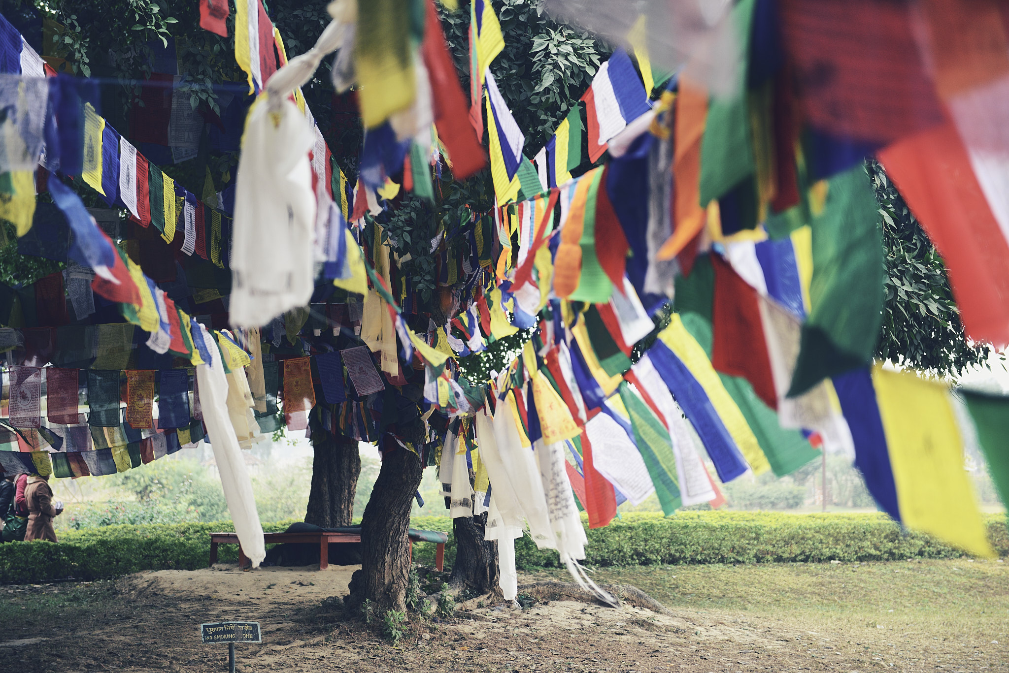 20140111 019 룸비니(부처 탄생지)